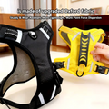 Pet Chest Harness
